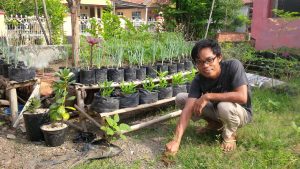 Mulai dari Hobi, Mahasiswa Ini Dapat ‎Manfaat Lewat Sayuran Organik
