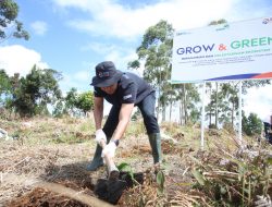 BRI Peduli “Grow & Green” Tanam 2.500 Bibit Pohon di Samosir